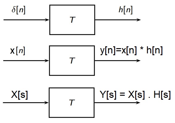 impulse responses